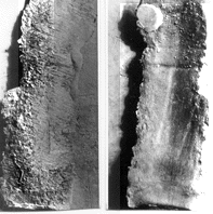 rubbing  and class characteristic marks on jacket piece
