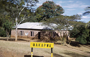 Picture of Makapwa