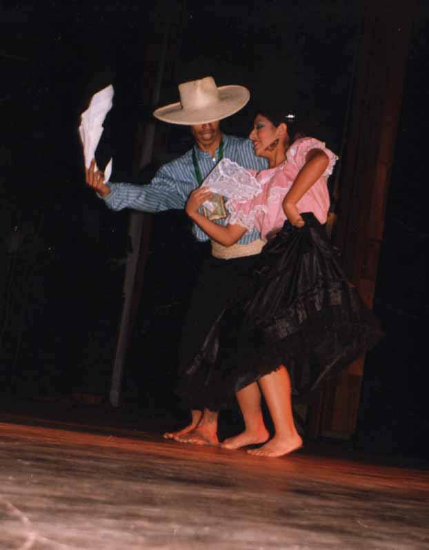 Click para volver a la galer�a de im�genes