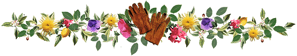 Flower banner