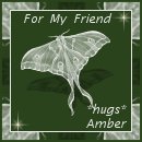 Amber's Piece of the Quilt