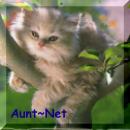 Aunt~Net's Piece of the Quilt