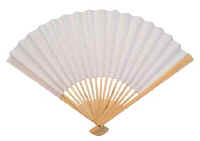 white_fan.jpg (11402 bytes)