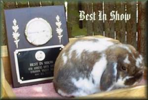 Griffy's 3rd BIS Win