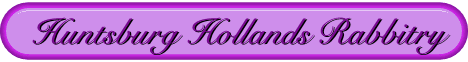 Huntsburg Hollands Rabbitry