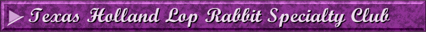 Texas Holland Lop Rabbit Specialty Club