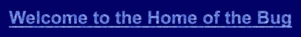 The Home of the Bug