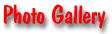 gallerybut