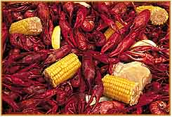 <Crawfish>