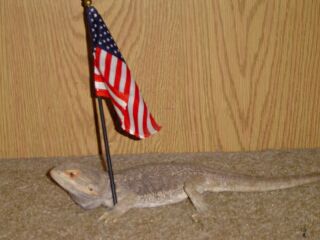 Kiante was even patriotic