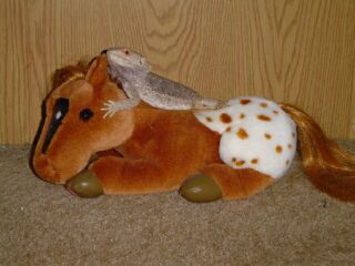 See even Kiante liked appaloosa horses!