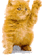 cat02(1).gif (6903 bytes)