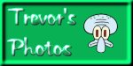 My photos index