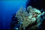 ©Hideaway Island Resort - JPEG image X pixels, Decoded size (Bytes):6263