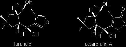 furandiol and lactarorufin A