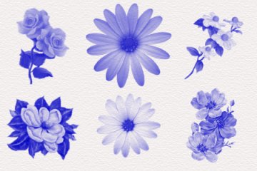 Floral Set 1
