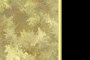Gold Bordered Set