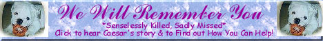 Please Click to Visit the Caesar Memorial Page and to sign the Petition!
