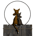 Friends Of Animals League Webring Home