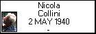 Nicola Collini