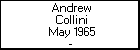 Andrew Collini