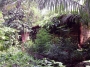 Previous image