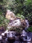 Previous image