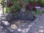 Next image