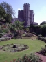 Previous image