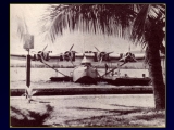 Slide5