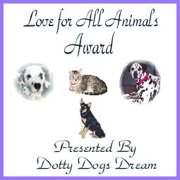 Dotty Dogs Dream
