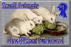 Geocities Blue Ribbon Award