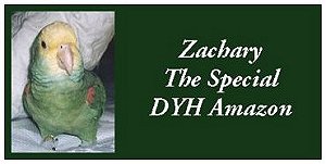 Zachary