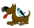 dogbird