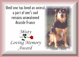 Misty