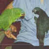 Smoki n Charlie
