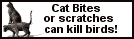Free Slogan Banner