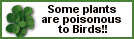 Free Slogan Banner