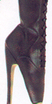 ballet boots