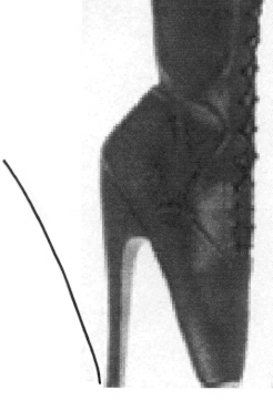 hhpic22