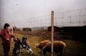 at Bearbrook Farm