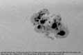 031026ar10484-b-tn.jpg (3163 bytes)