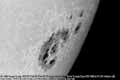 031103ar10486-tn.jpg (3676 bytes)