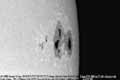 031103ar10488-a-tn.jpg (3207 bytes)