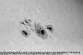 040228ar10564-a-tn.jpg (3119 bytes)