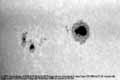 040308ar10570-tn.jpg (3688 bytes)