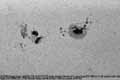 040718ar10649-b-tn.jpg (3515 bytes)