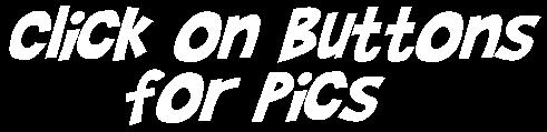 /user/newpicsheader.JPG