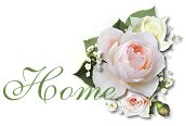 Back to our wedding page