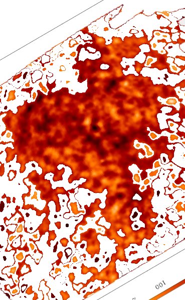 ..l'albero della vita.. (Genesi 2, 9)